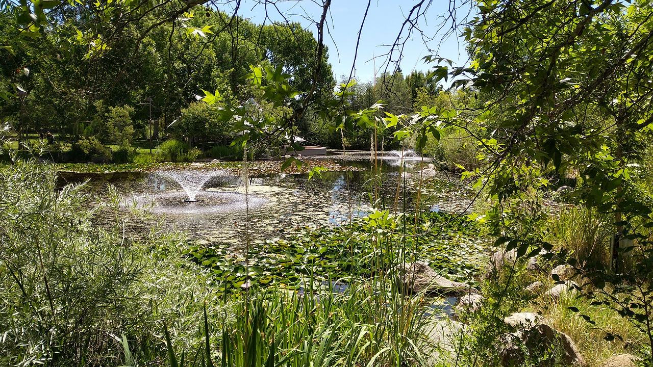 5. 绿植养护小窍门