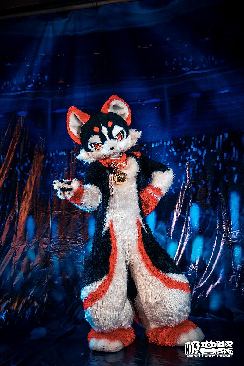 上海729极兽聚都有哪些兽