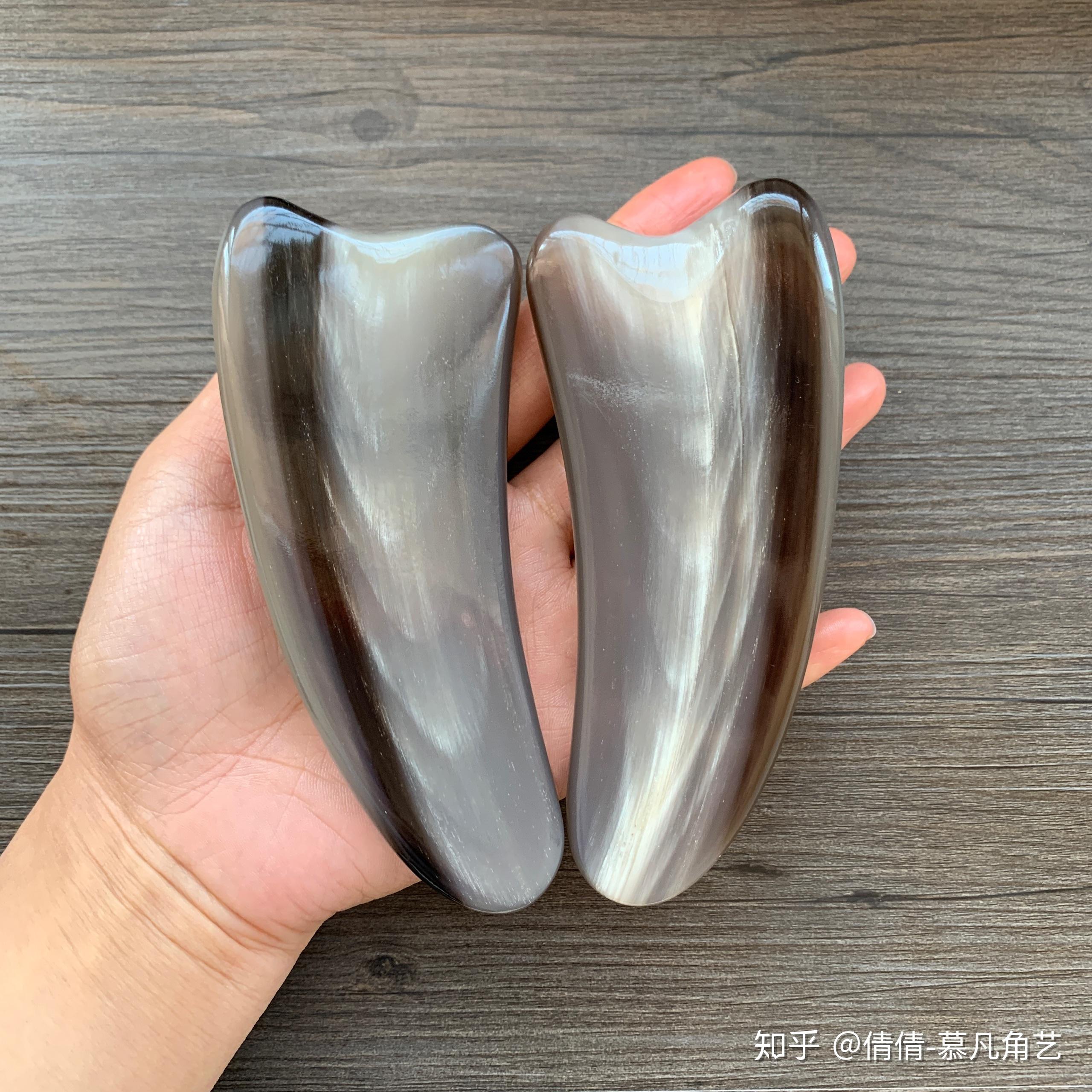 请问白水牛角角龄怎么看