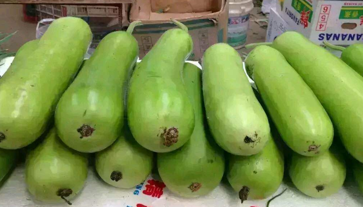 爱吃瓠瓜的一定要收藏 教你5种家常做法 简单美味又下饭 知乎