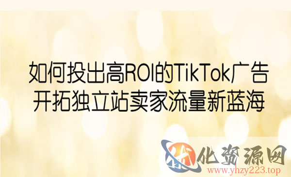 《如何投出高ROI·TikTok广告》开拓独立站卖家流量新蓝海_wwz