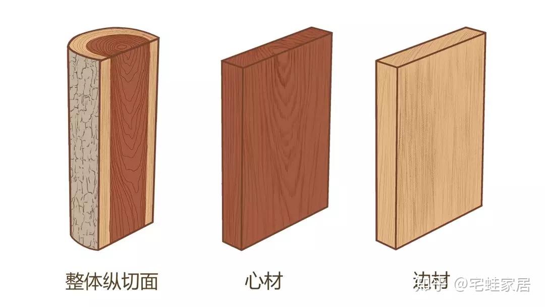 简单易懂,常见12种家具木材的知识点 - 知乎