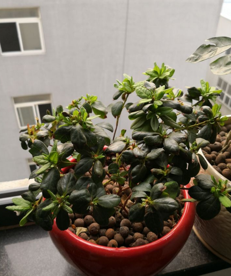 那些早上起来做饭跑步冲澡后去上班的人都是几点起床几点上班的