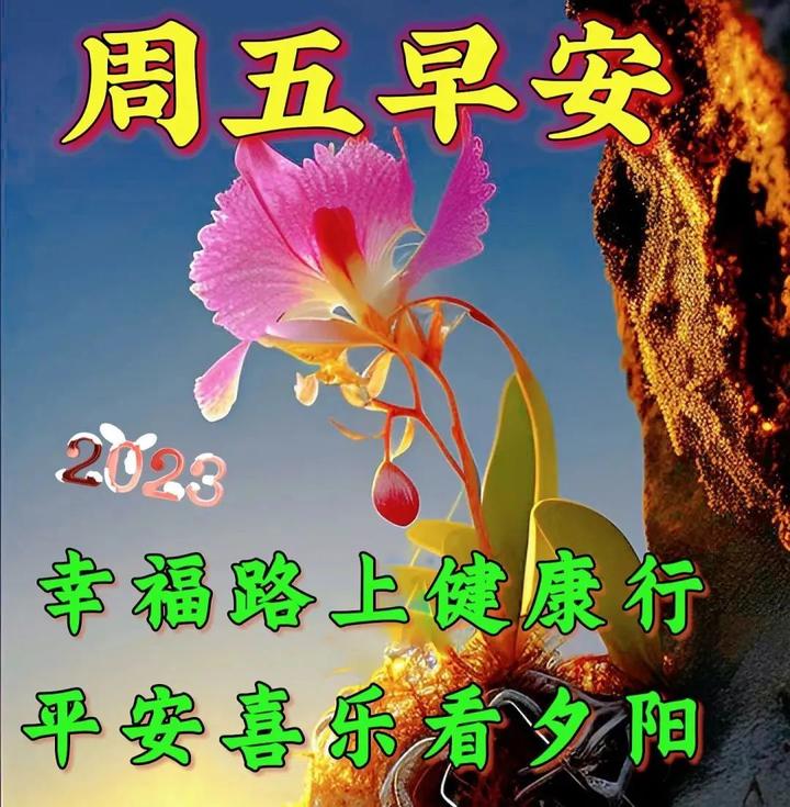 5月26日周五早安温馨早上好祝福语问候语 - 知乎