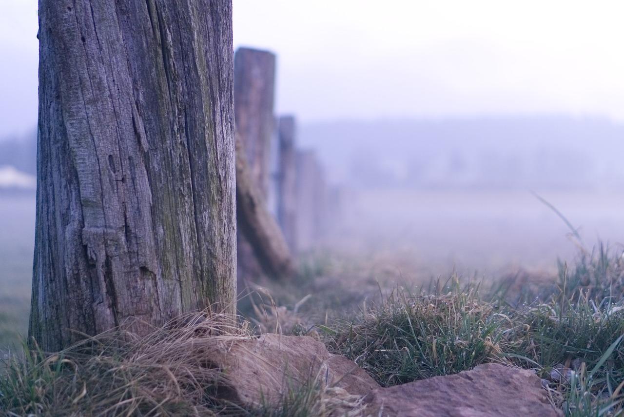 4. 生态木损耗率