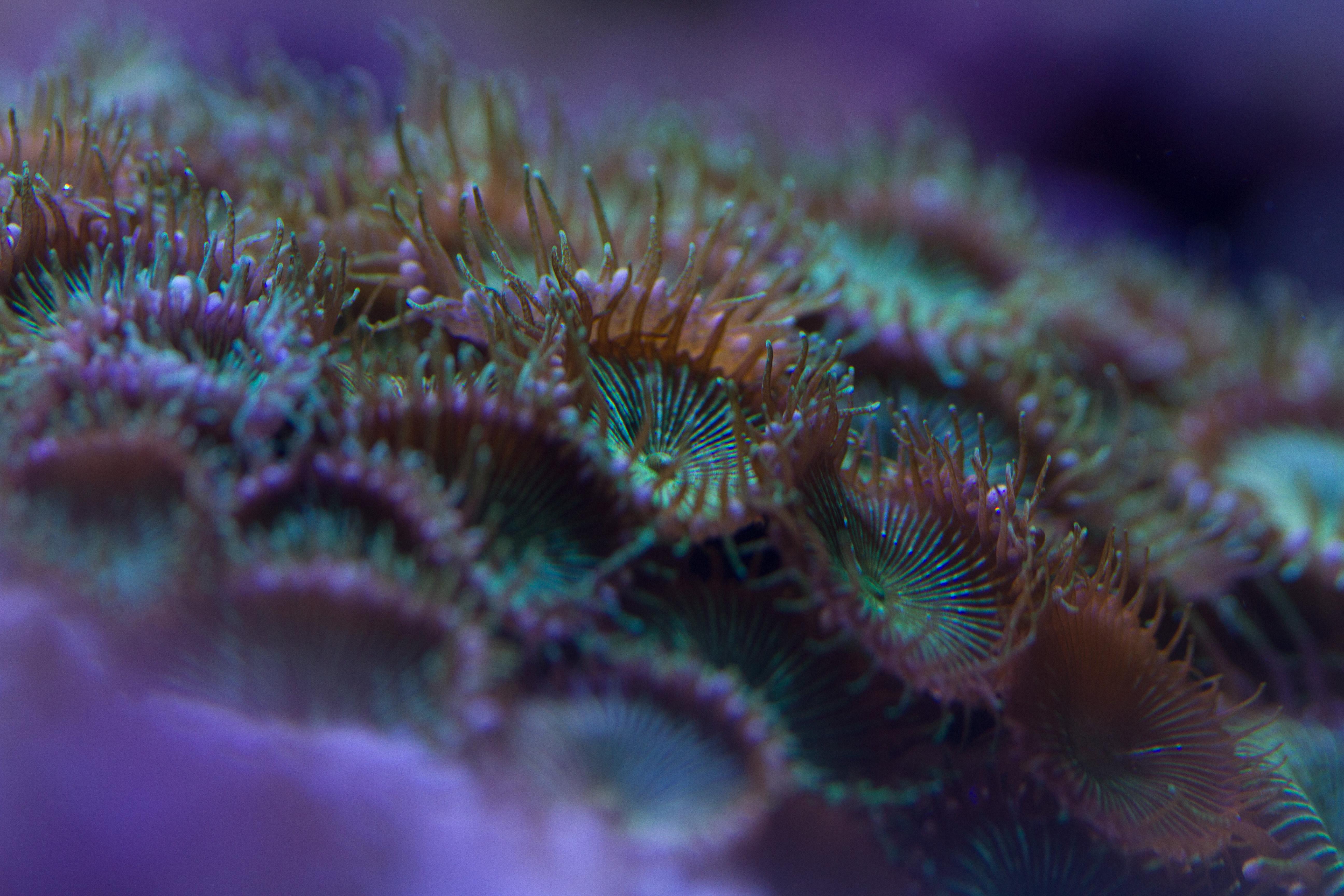 zhuanlan.zhihu.com