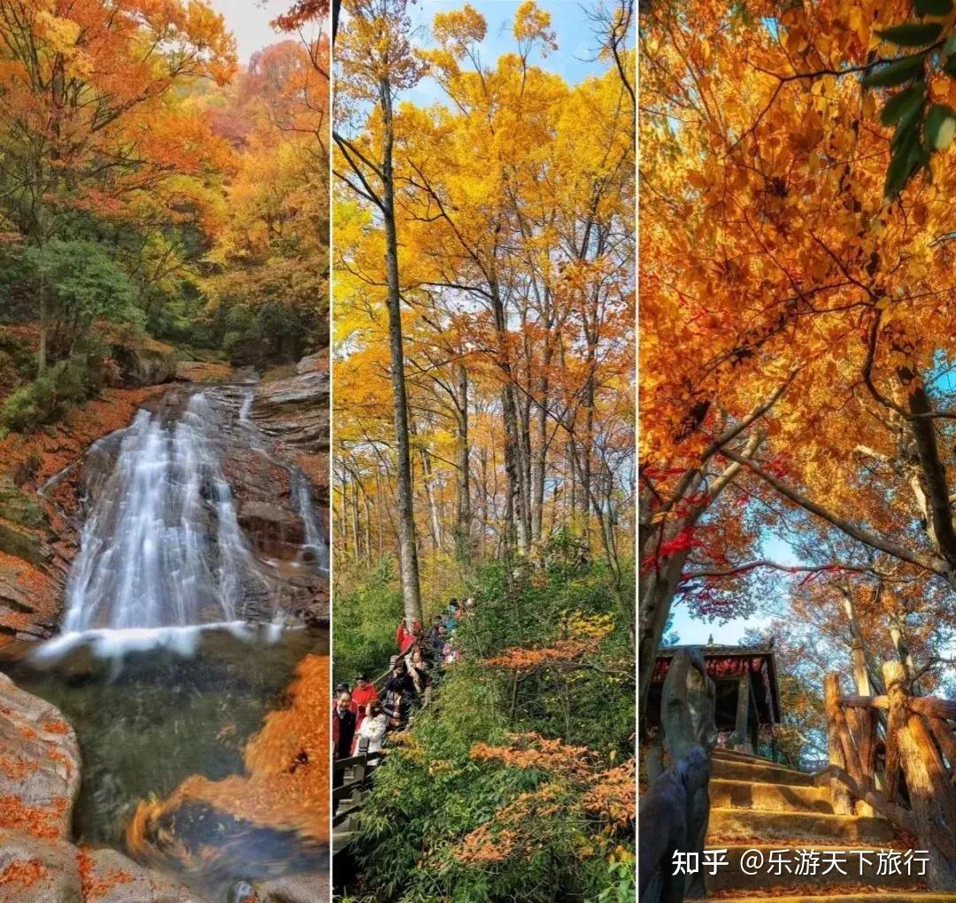 秋天,为何要去光雾山看红叶——光雾山赏红叶旅游攻略与行程规划 - 知乎
