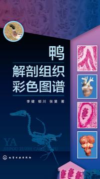 99試讀本書介紹了鴨運動系統和內臟器官重要的形態,功能及組織結構