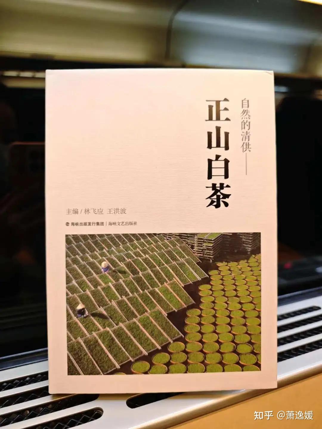 林飞应 金花白茶诞生记 | 砾壤人物 - 知乎