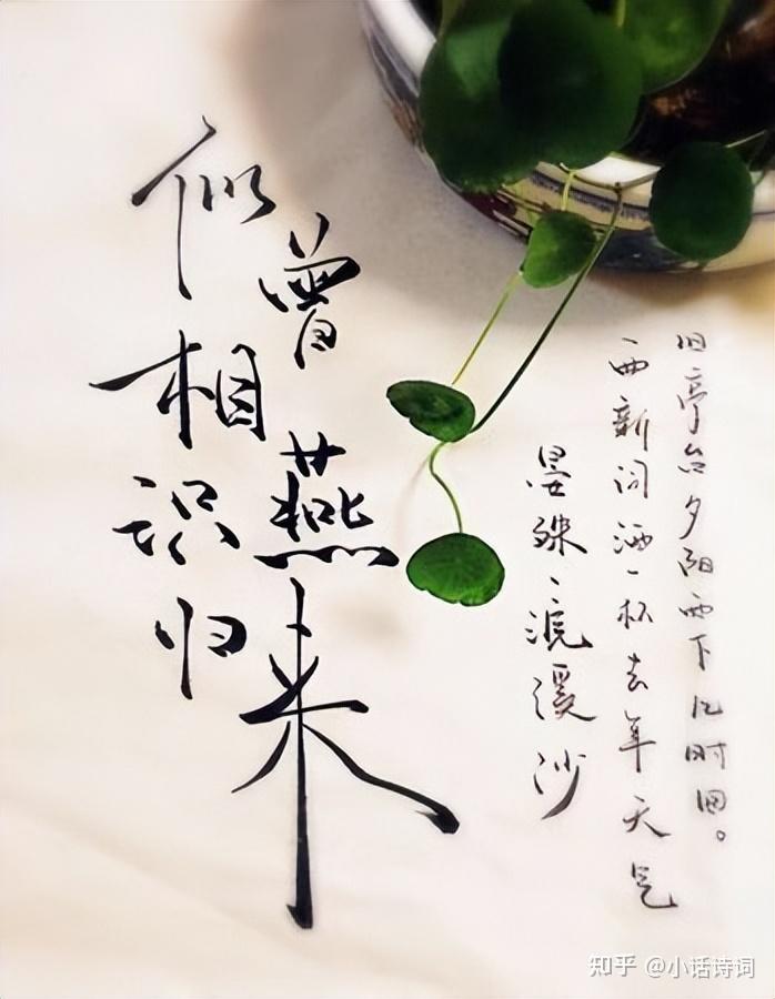"无可奈何花落去,似曾相识燕归来",题目说这句话用了比拟手法,我愣是
