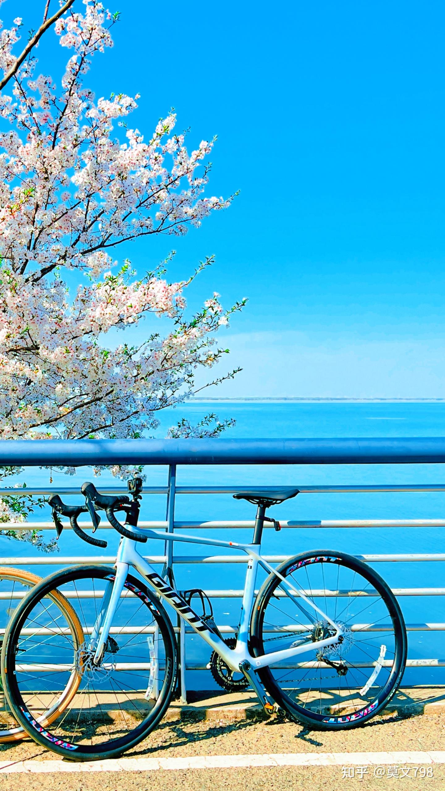 6 月 3 日是世界自行车日,骑自行车给你的生活带来了哪些改变?