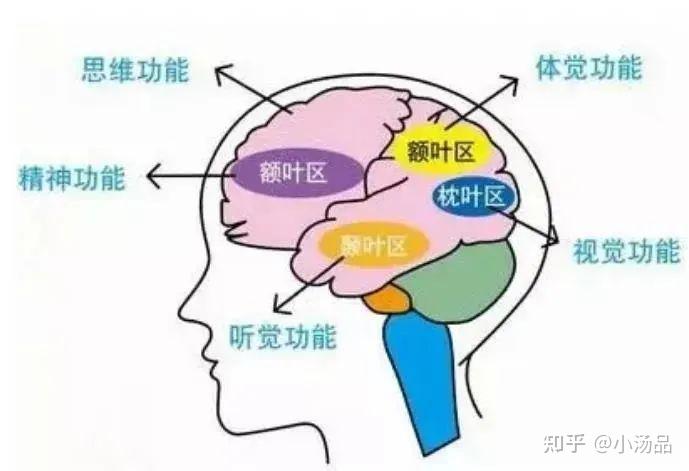 喝酒总“断片”？小心是患病的征兆！ - 知乎