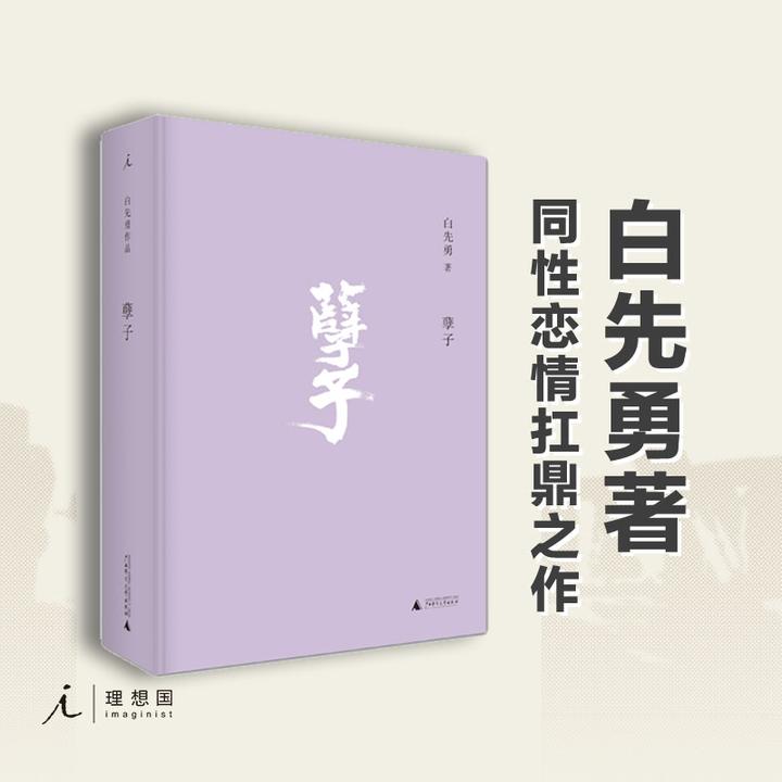 如何评价白先勇的小说《孽子》？