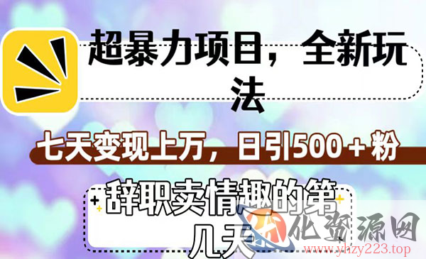 《超暴利情趣项目全新玩法》七天变现上万，日引500+粉_wwz