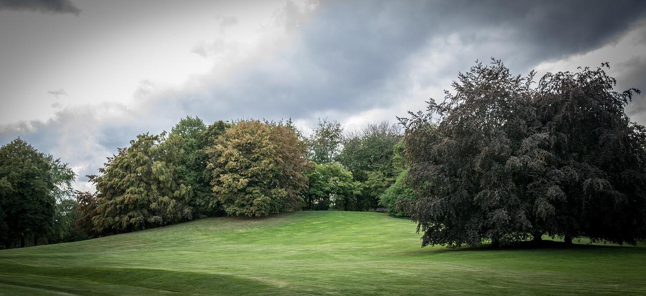 3. 绿地户型介绍