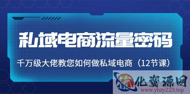 私域电商流量密码：千万级大佬教您如何做私域电商（12节课）插图