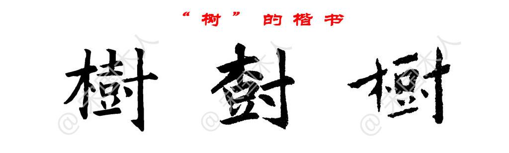 树:汉字的起源与演变(小学一年级语文生字 第71集) - 知乎