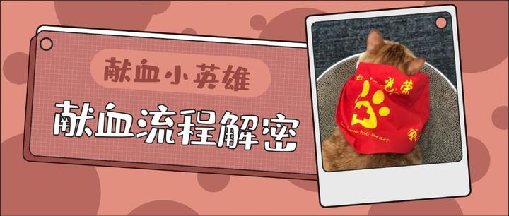 猫咪献血输血有要求?10个基础问题答疑 - 知乎