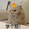 丢到火里