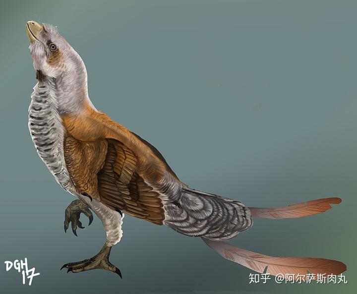 为什么大众仍然不接受鸟类源于恐龙？