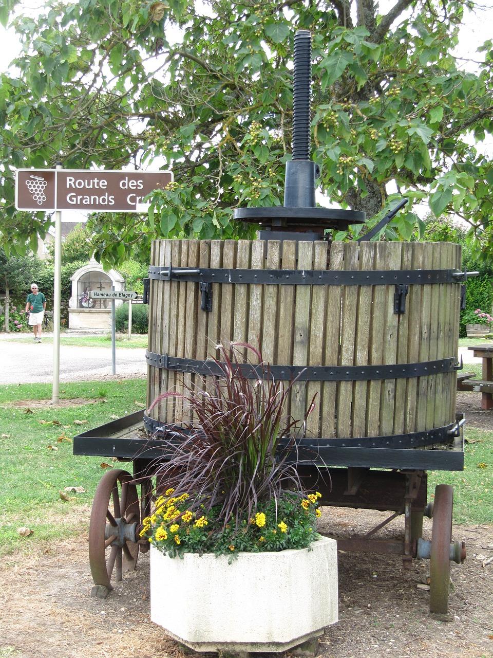 春棚香瓜怎么种植技术