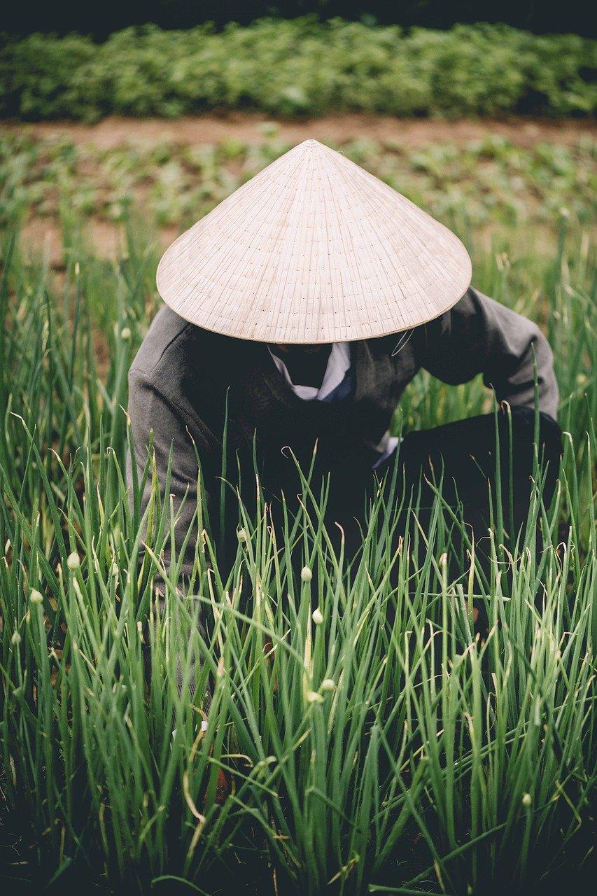 如何给桐油伞换纸