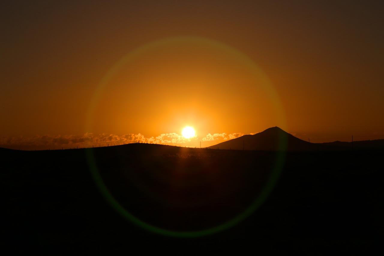 6. 树枝灯制作步骤