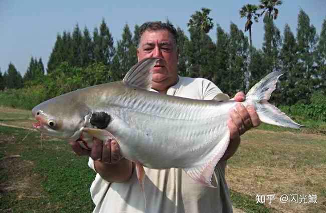 有人能介绍一下劳伦迪