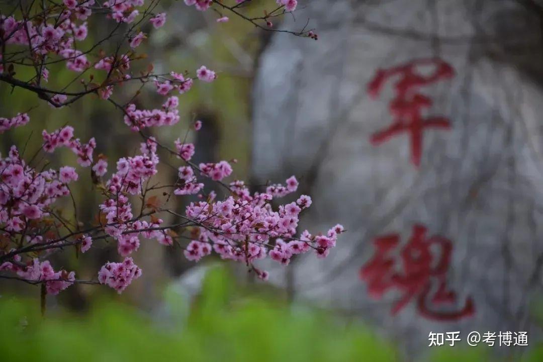 海军航空大学2025年研究生招生简章 - 知乎