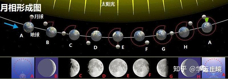总结先天八卦与月相图之间的关系 - 知乎