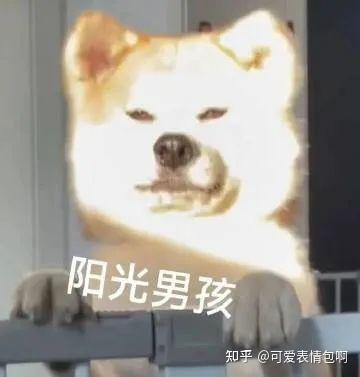 表情包:俺不中嘞 - 知乎
