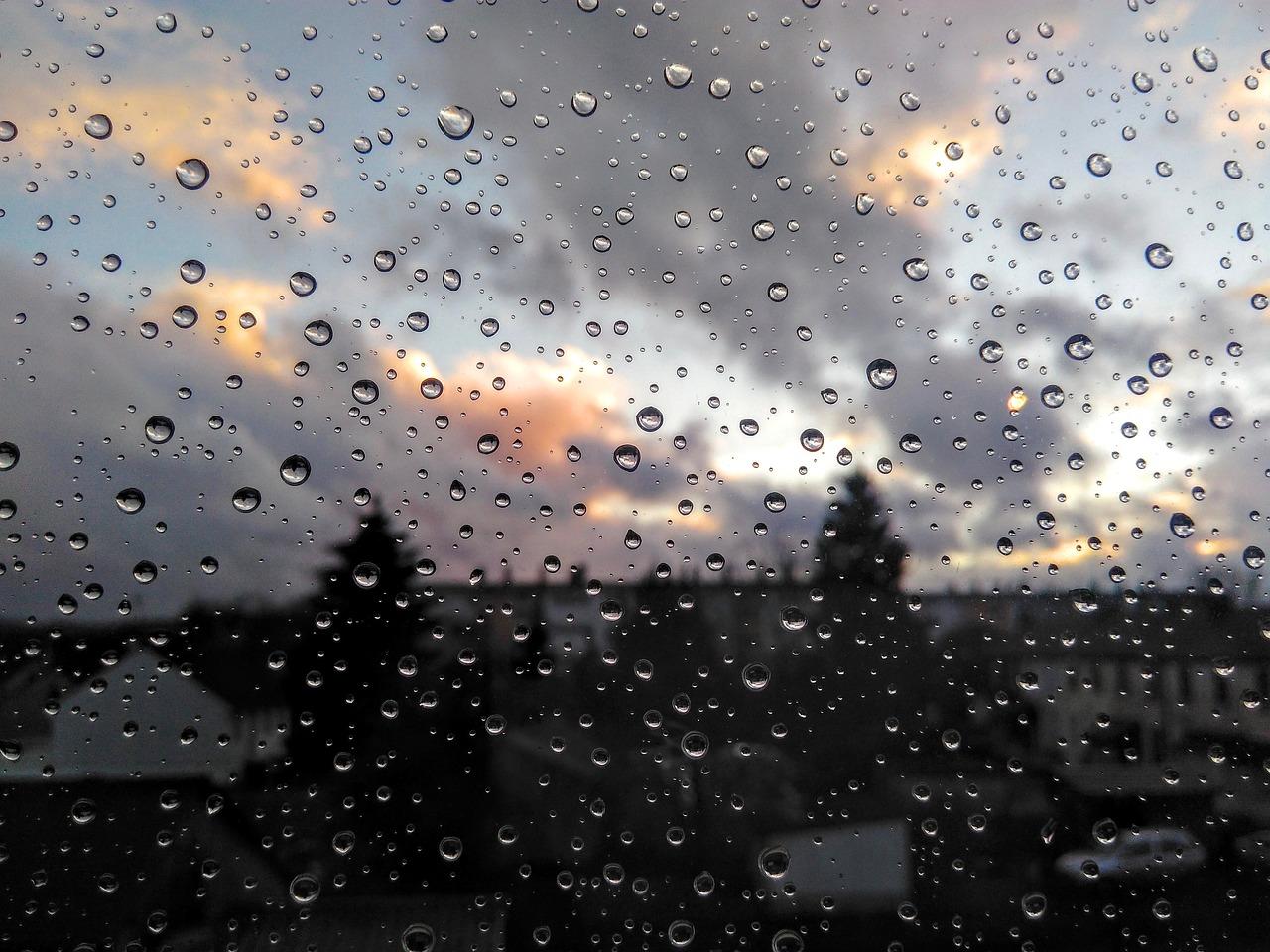 冬雨凝霜添静谧