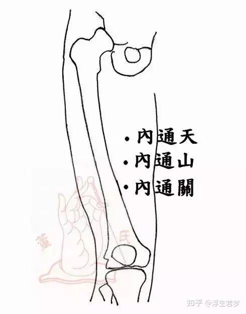 董氏奇穴10大穴位解析 - 知乎