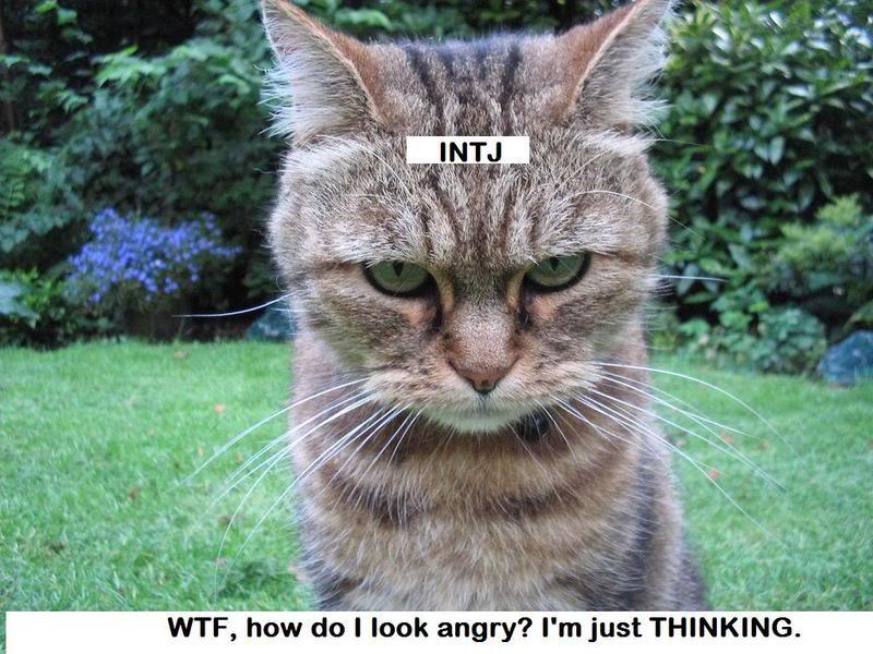 为什么百度百科说intj与enfp合适哪里合适