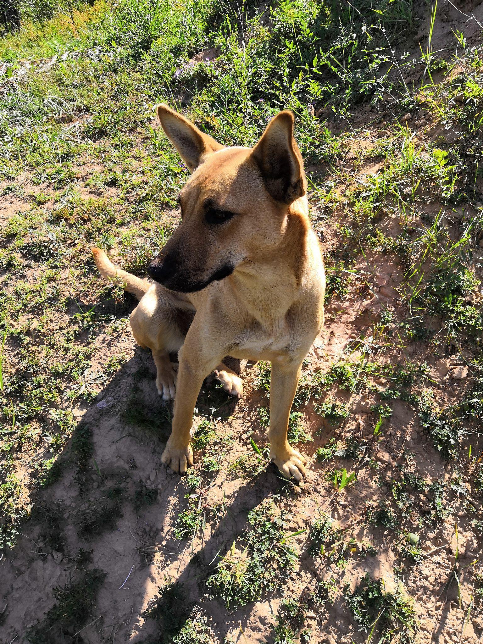 什么才是门当户对