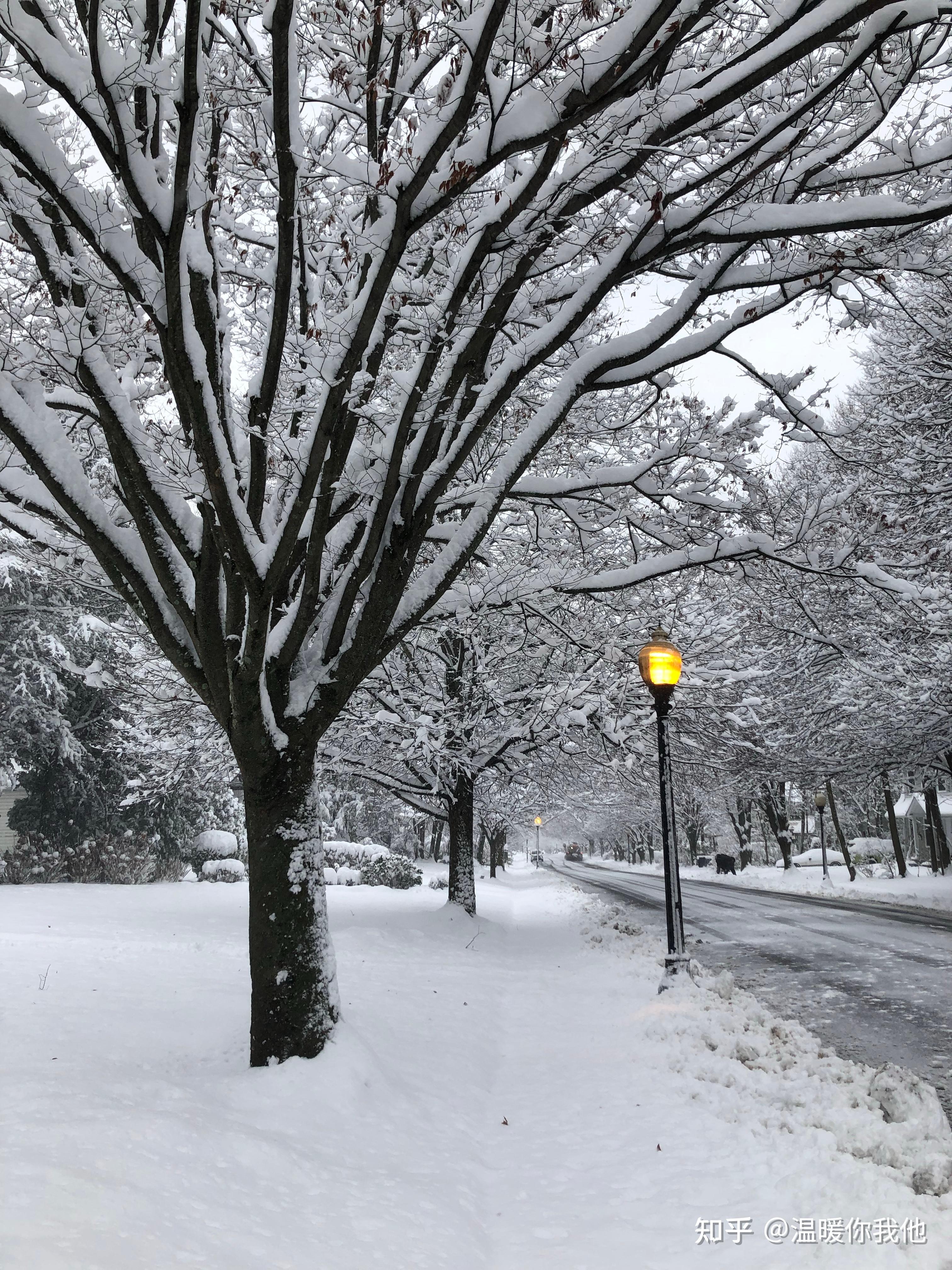你经历的城市雪景中,哪里最让人印象深刻?