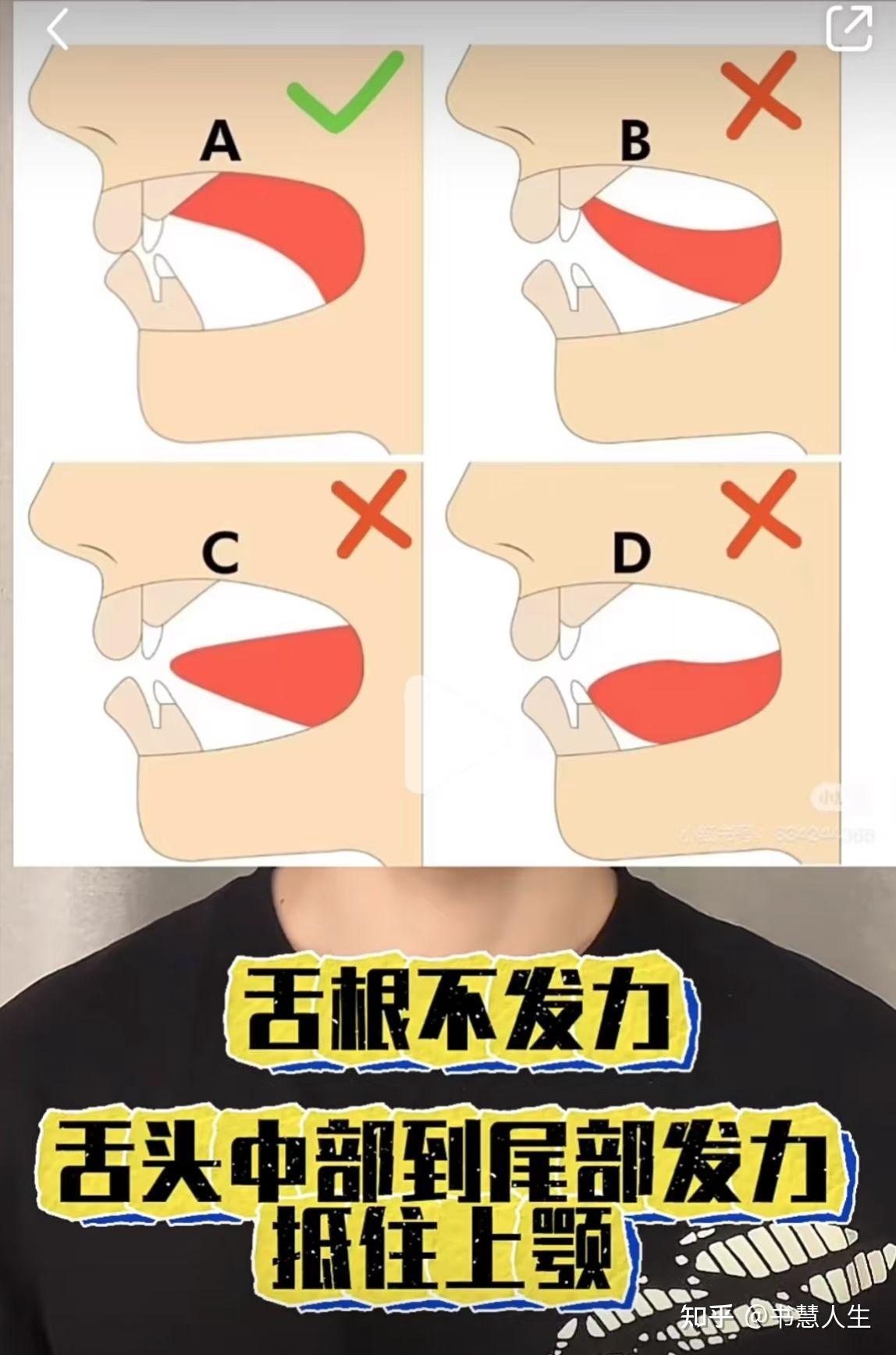 舌抵上颚好处多,不用记,照做就能有收获 - 知乎