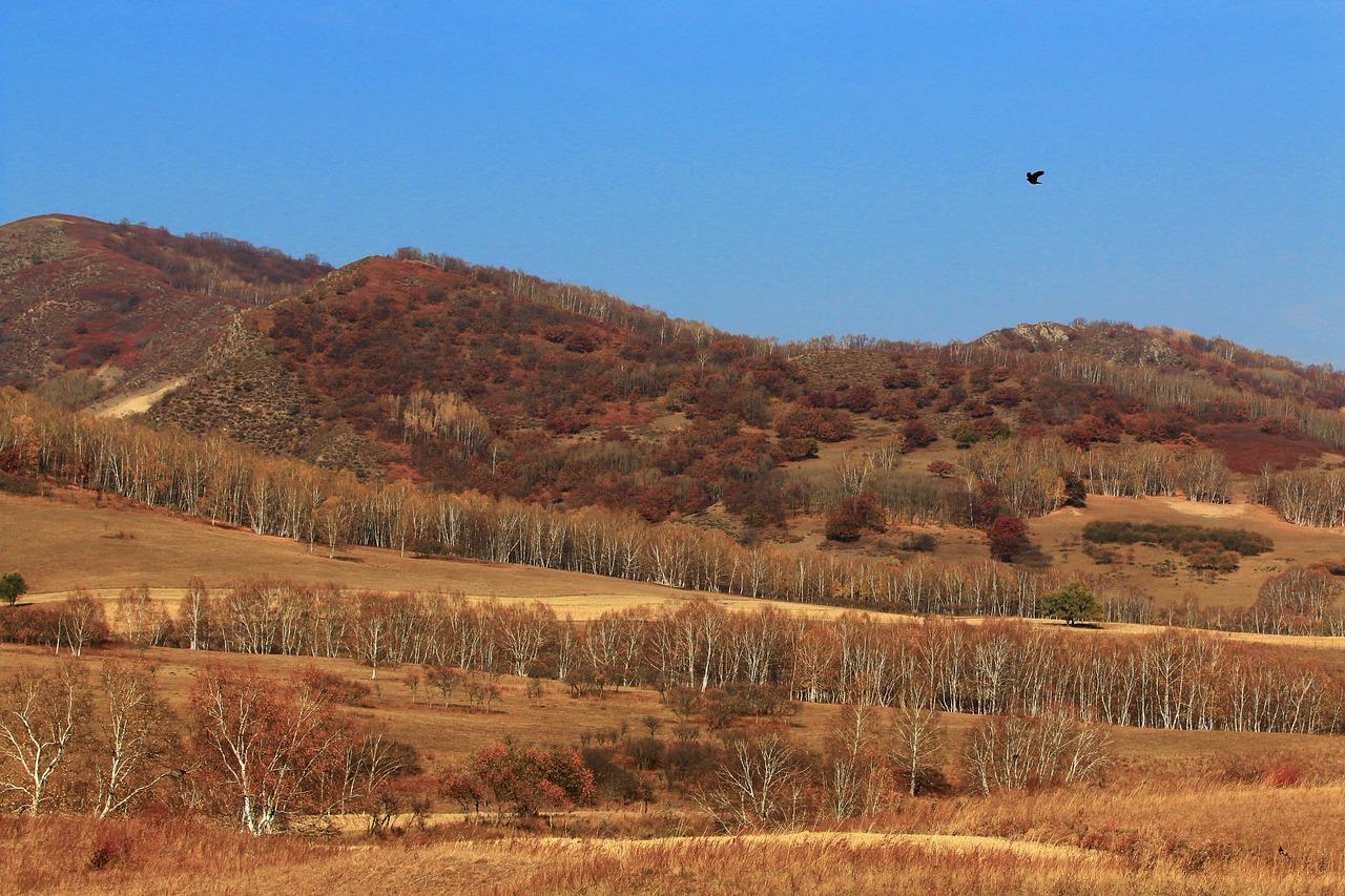3. 天空树座落点寻