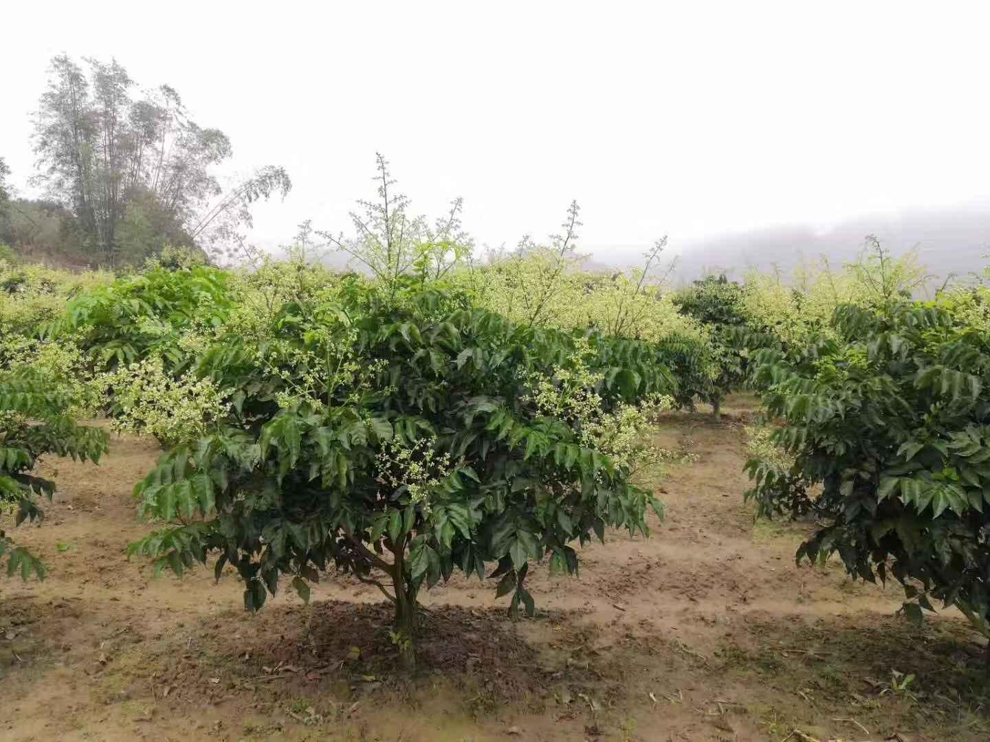 v2-6d941f690b7eab94b7c5ea03c218e3f3_r.jpg?source=172ae18b