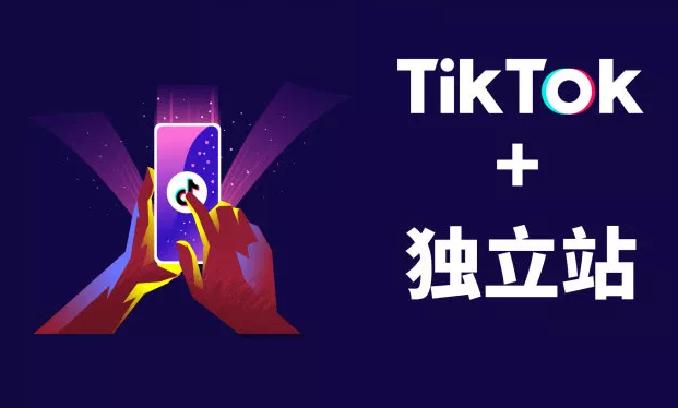 四, tiktok 独立站模式