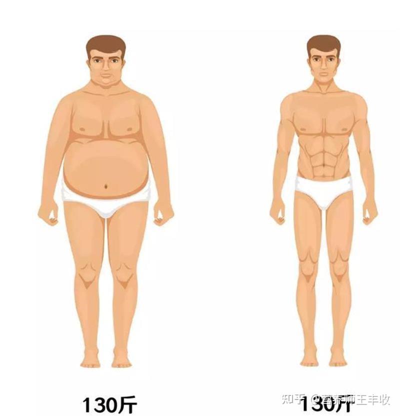 為什麼男生同樣的身高體重體型差距會很大