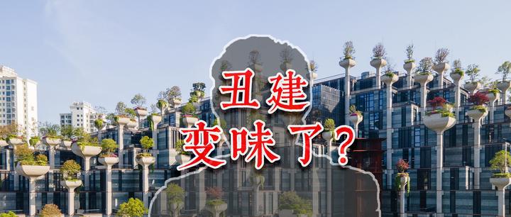 丑建变味了。。审美正确和正确审丑哪个更重要？ - 知乎