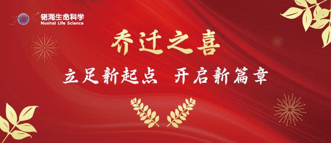 锘海乔迁|立足新起点,开启新篇章 - 知乎
