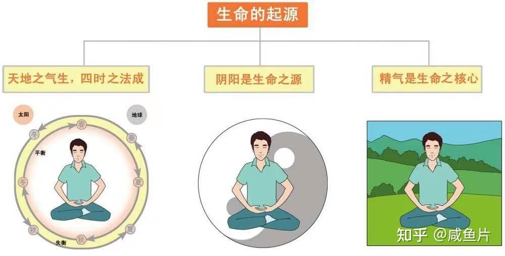 气虚身体会有什么表现?如何区分脾气虚、心气虚、肾气虚、肺气虚、肝气虚 - 知乎