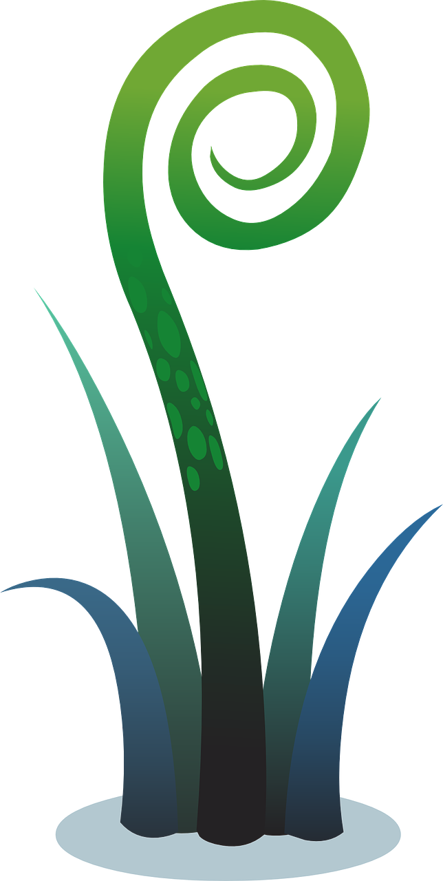 花叶子耷拉怎么回事