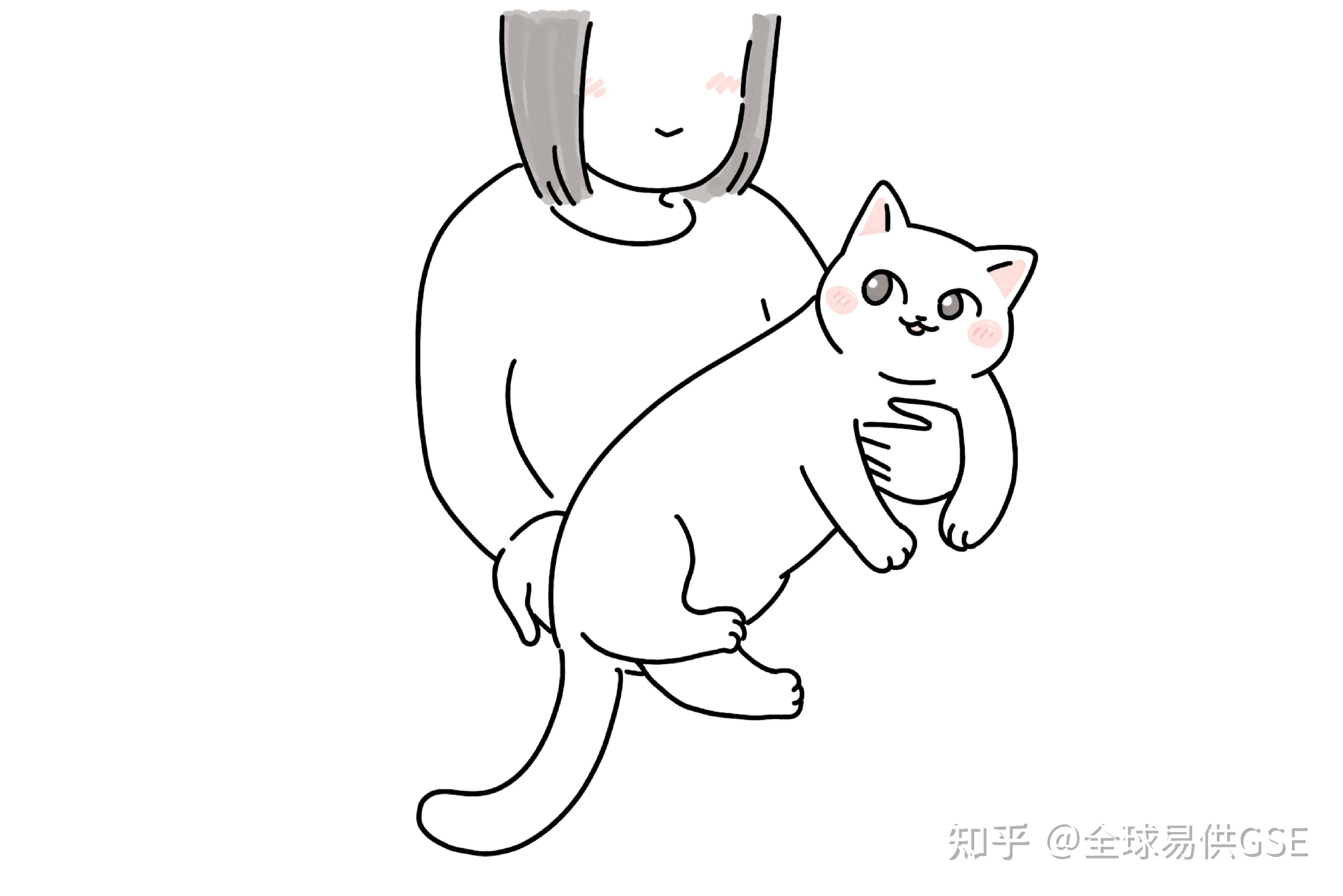 知乎