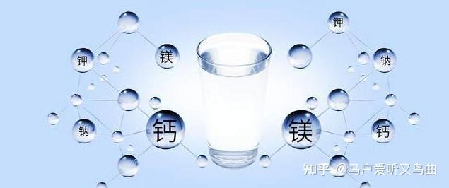 v2-6e010dfe8c79173421546b793b6c4d27_r.jpg