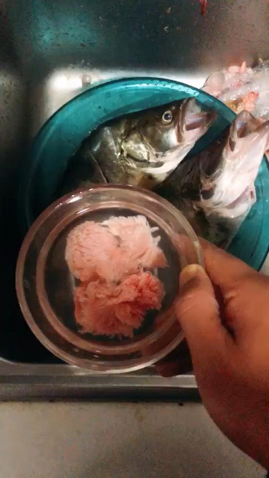 季花鱼的"花"