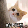 你对核吧吧主冯勒布除夕爆照怎么看?据说好多核吧吧友看完后就此沉沦,也有人表示要努力迎娶小布? - 知乎
