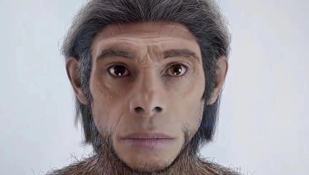 作为直立人仅存的后代,我们中华民族还能成功驱逐智人吗?